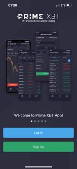 Comprehensive Guide to PrimeXBT Information 0