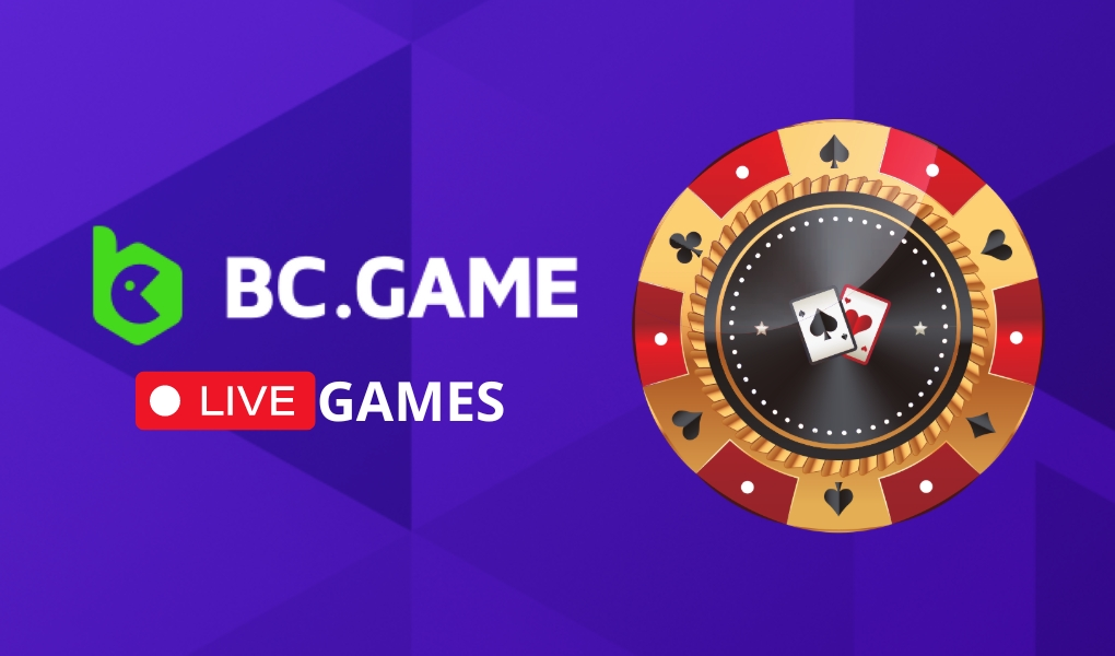 Exceptional Betinin Casino Customer Support Your Questions Answered Exceptional Betinin Casino Customer Support Your Questions Answered